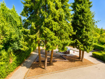 Aussicht Spielplatz